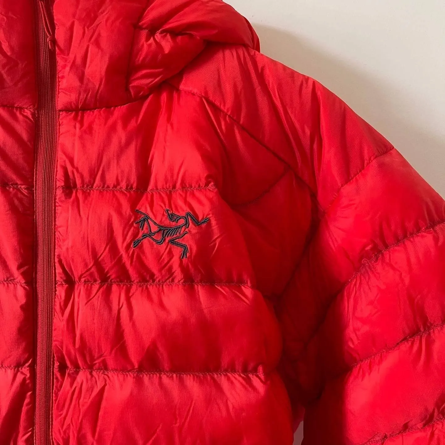 ARCTERYX Down Jacket