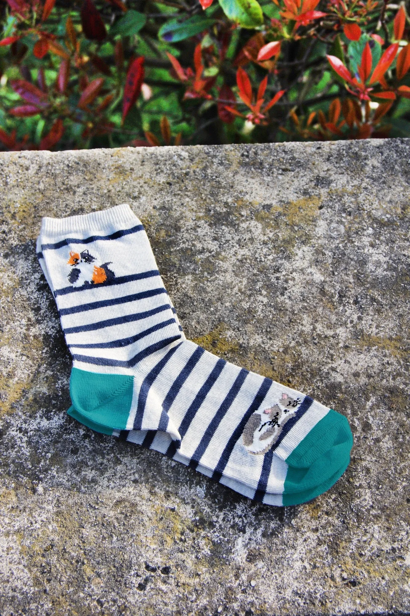 Cats Print  Pale Grey Women's Socks