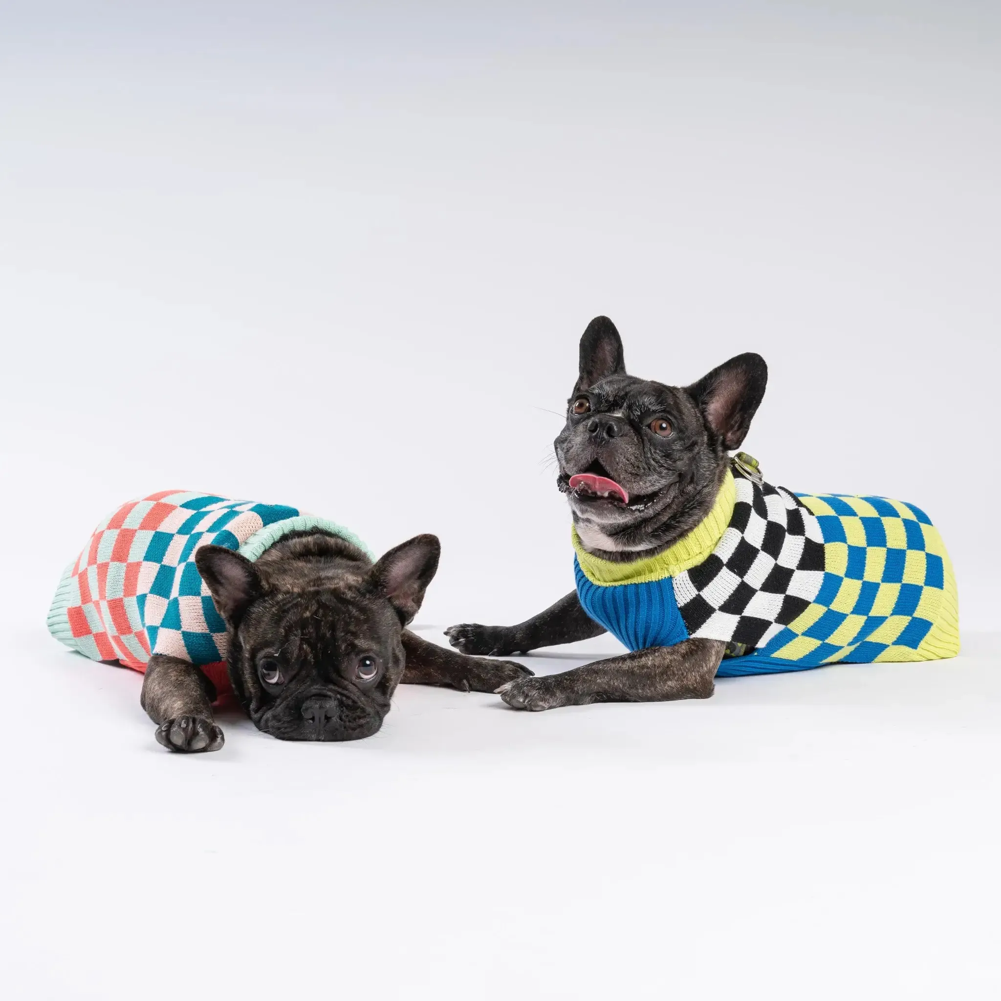 Checker-board Dog Sweater | Various | by VERLOOP