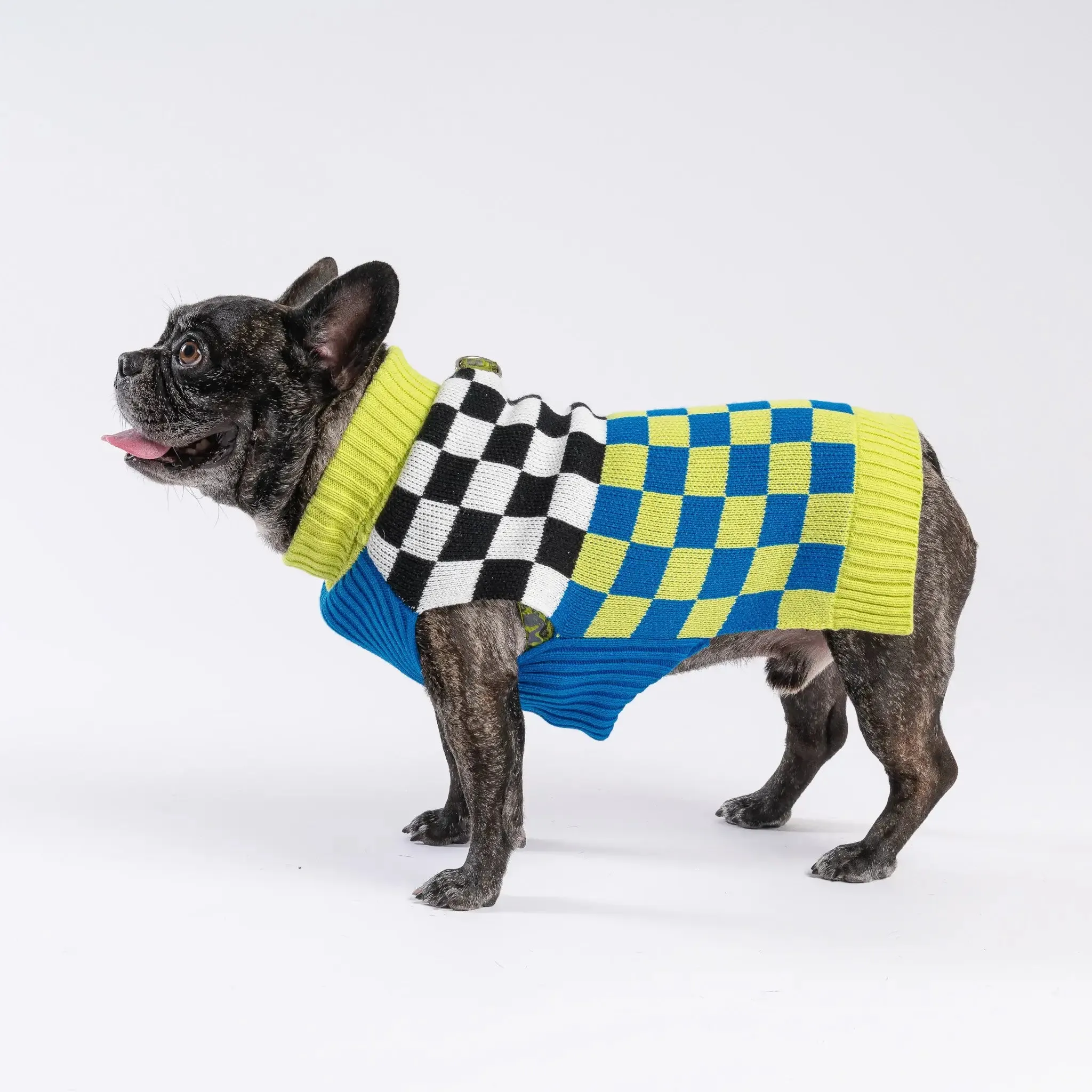 Checker-board Dog Sweater | Various | by VERLOOP