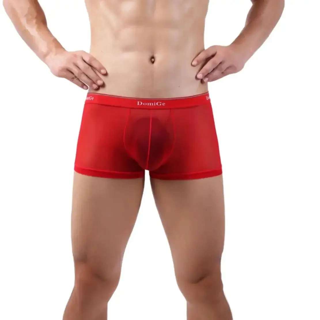 DomiGe Men's Mesh Boxers Sexy See-Through Underwear