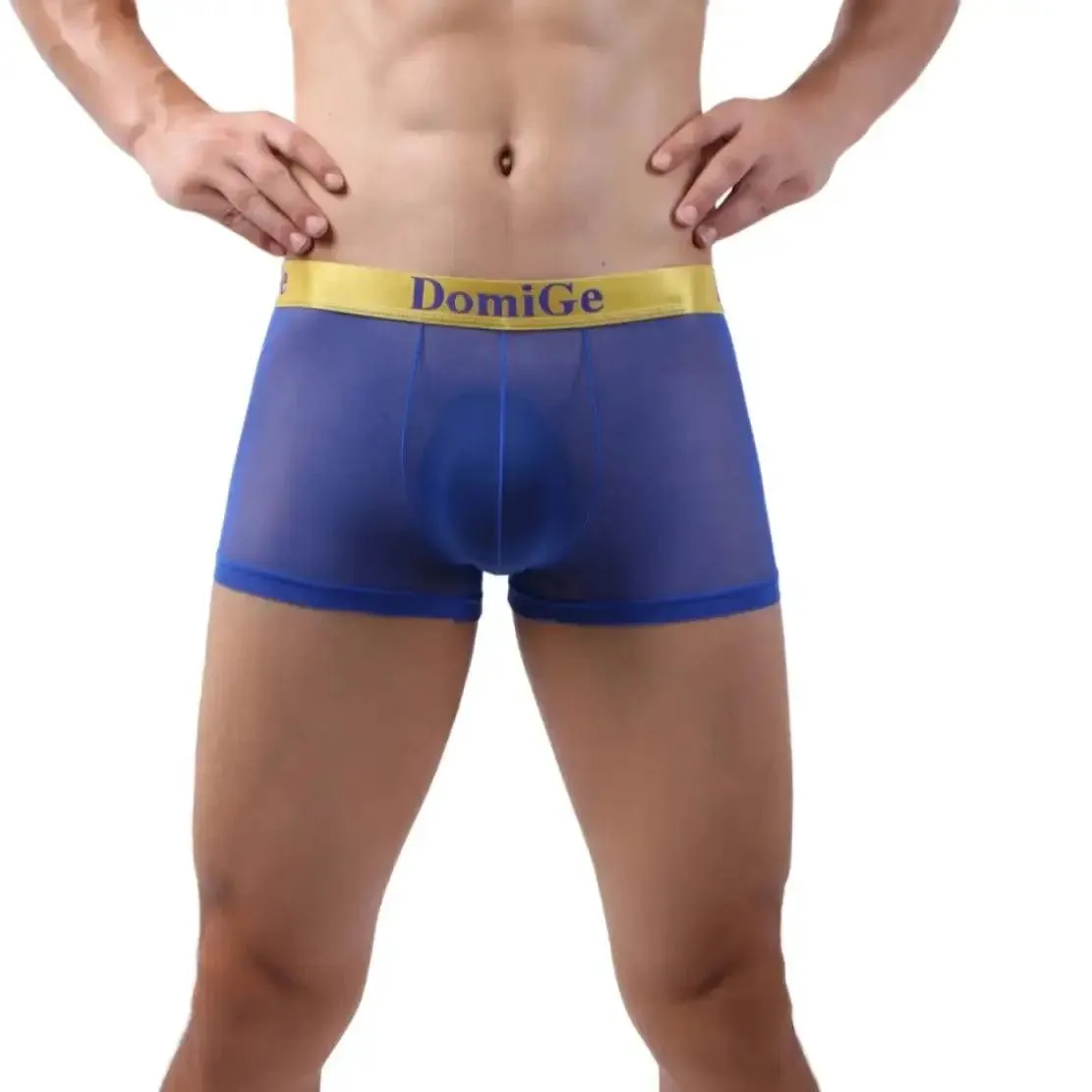 DomiGe Men's Mesh Boxers Sexy See-Through Underwear