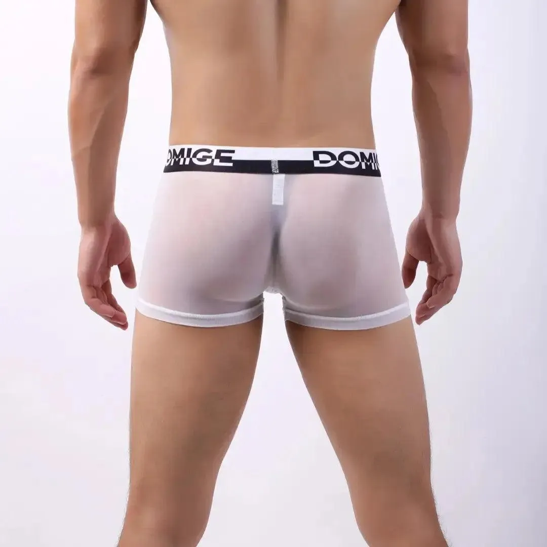 DomiGe Men's Mesh Boxers Sexy See-Through Underwear