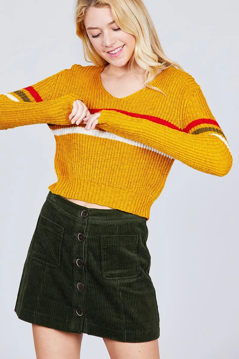 Long Sleeve V-neck Multi Stripe Crop Sweater