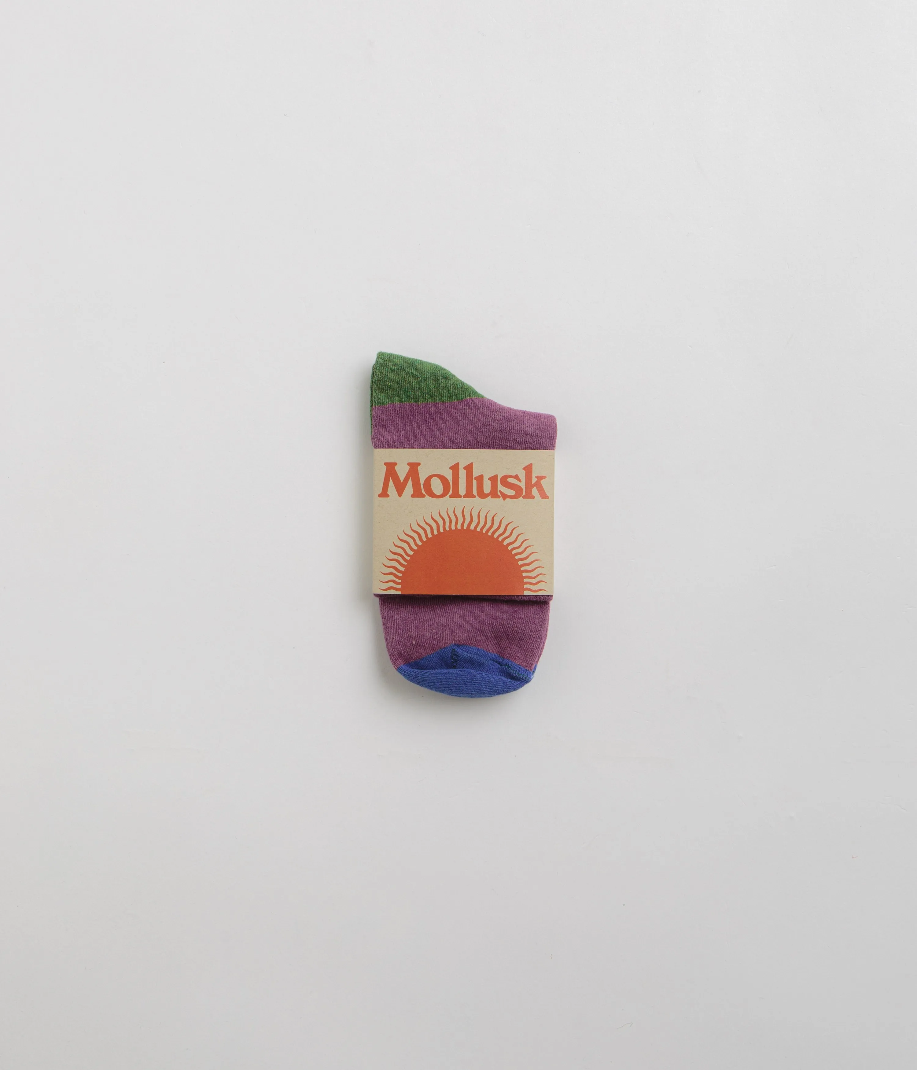 Mollusk Color Block Socks - Huckleberry