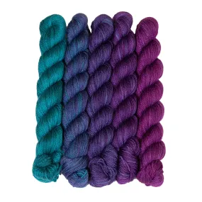 SweetGeorgia Tough Love Sock Party of Five Mini-Skein Set Yarn - Tanzanite