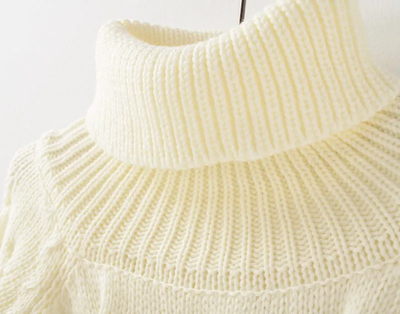 Turtleneck Knitted Pullover