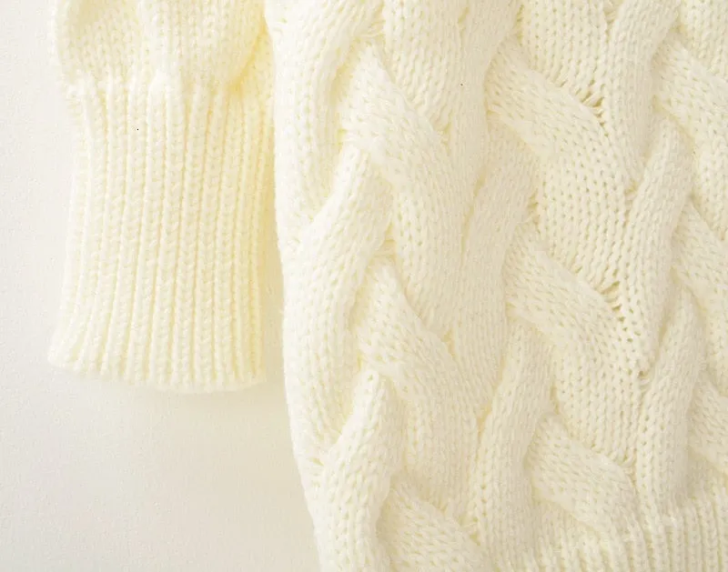 Turtleneck Knitted Pullover