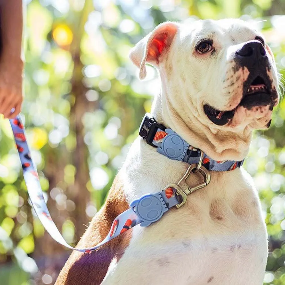 Zee.Dog Wasabi Dog Collar